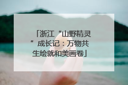 浙江“山野精灵”成长记：万物共生绘就和美画卷