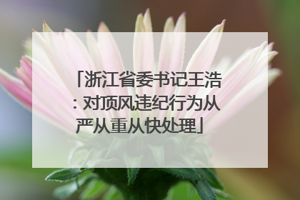 浙江省委书记王浩：对顶风违纪行为从严从重从快处理