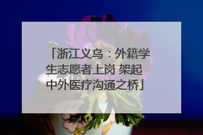 浙江义乌：外籍学生志愿者上岗 架起中外医疗沟通之桥