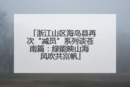 浙江山区海岛县再次“减员”系列谈苍南篇：绿能映山海 风吹共富帆