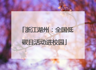 浙江湖州：全国低碳日活动进校园