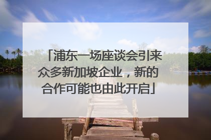 浦东一场座谈会引来众多新加坡企业，新的合作可能也由此开启
