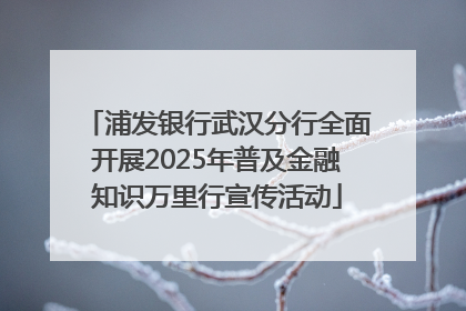 浦发银行武汉分行全面开展2025年普及金融知识万里行宣传活动