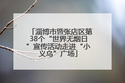 淄博市暨张店区第38个“世界无烟日”宣传活动走进“小义乌”广场