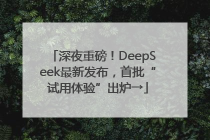 深夜重磅!DeepSeek最新发布,首批“试用体验”出炉→