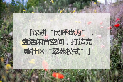 深耕“民呼我为”，盘活闲置空间，打造完整社区“翠苑模式”