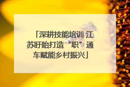 深耕技能培训 江苏盱眙打造“职”通车赋能乡村振兴