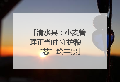 清水县：小麦管理正当时 守护粮“芯”绘丰景