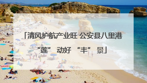 清风护航产业旺 公安县八里港 “莲” 动好 “丰” 景