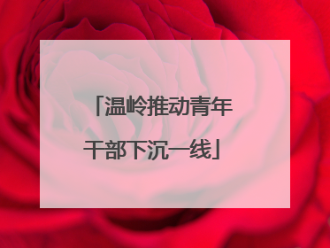 温岭推动青年干部下沉一线
