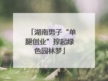 湖南男子“单腿创业”撑起绿色园林梦