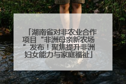 湖南省对非农业合作项目“非洲母亲新农场”发布！聚焦提升非洲妇女能力与家庭福祉
