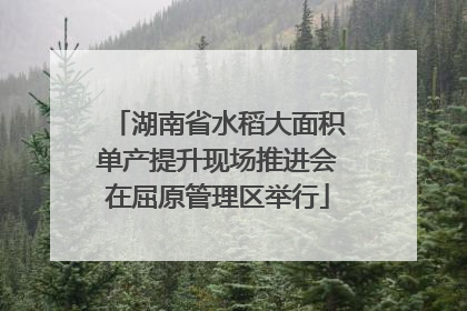 湖南省水稻大面积单产提升现场推进会在屈原管理区举行