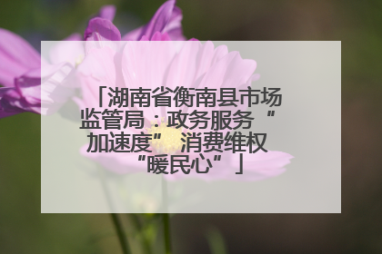 湖南省衡南县市场监管局：政务服务“加速度” 消费维权“暖民心”