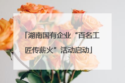 湖南国有企业“百名工匠传薪火”活动启动