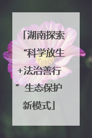 湖南探索“科学放生+法治善行”生态保护新模式