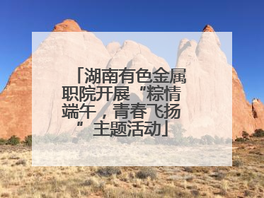 湖南有色金属职院开展“粽情端午，青春飞扬”主题活动