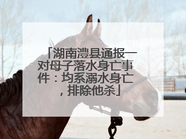 湖南澧县通报一对母子落水身亡事件：均系溺水身亡，排除他杀