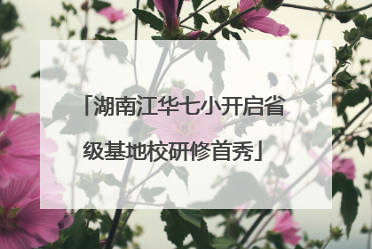 湖南江华七小开启省级基地校研修首秀