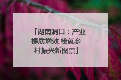 湖南洞口：产业提质增效 绘就乡村振兴新图景