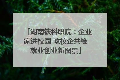 湖南铁科职院：企业家进校园 政校企共绘就业创业新图景