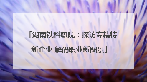 湖南铁科职院：探访专精特新企业 解码职业新图景