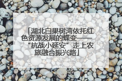 湖北白果树湾依托红色资源发展的蝶变——“抗战小延安”走上农旅融合振兴路