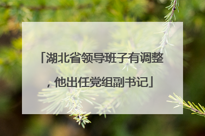 湖北省领导班子有调整，他出任党组副书记