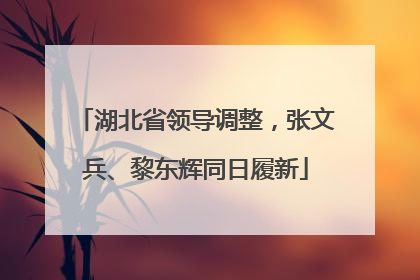 湖北省领导调整，张文兵、黎东辉同日履新
