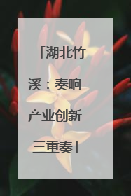 湖北竹溪：奏响产业创新三重奏