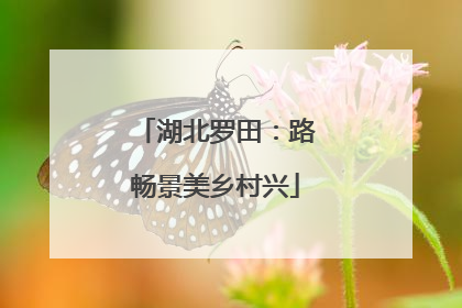 湖北罗田：路畅景美乡村兴