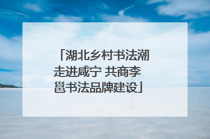 湖北乡村书法潮走进咸宁 共商李邕书法品牌建设