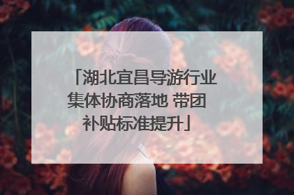 湖北宜昌导游行业集体协商落地 带团补贴标准提升