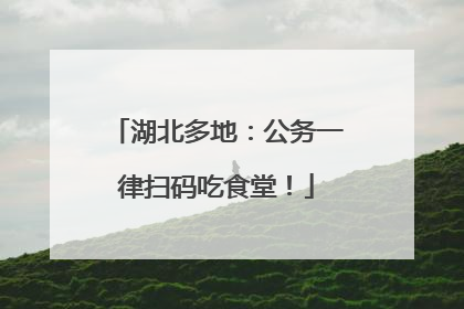 湖北多地：公务一律扫码吃食堂！