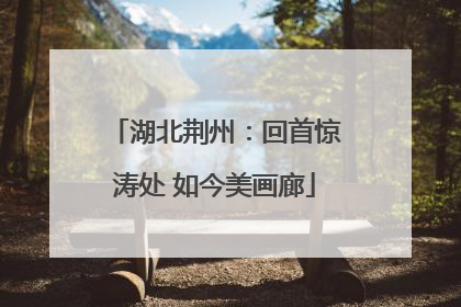 湖北荆州：回首惊涛处 如今美画廊