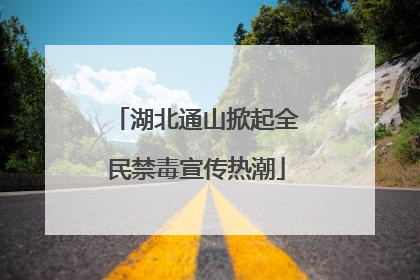 湖北通山掀起全民禁毒宣传热潮