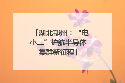 湖北鄂州：“电小二”护航半导体集群新征程