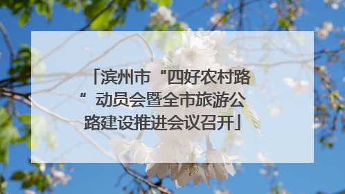 滨州市“四好农村路”动员会暨全市旅游公路建设推进会议召开