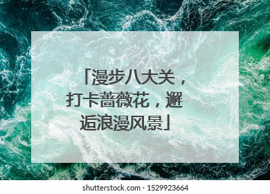 漫步八大关，打卡蔷薇花，邂逅浪漫风景