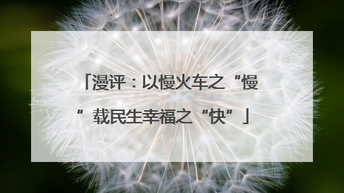 漫评：以慢火车之“慢”载民生幸福之“快”