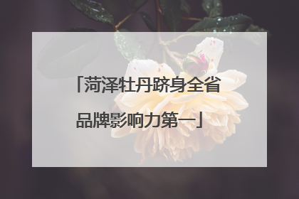 菏泽牡丹跻身全省品牌影响力第一