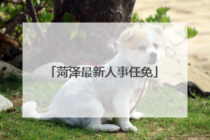菏泽最新人事任免