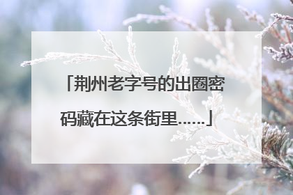 荆州老字号的出圈密码藏在这条街里……