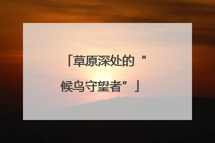 草原深处的“候鸟守望者”