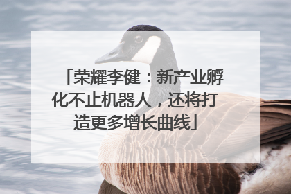 荣耀李健：新产业孵化不止机器人，还将打造更多增长曲线
