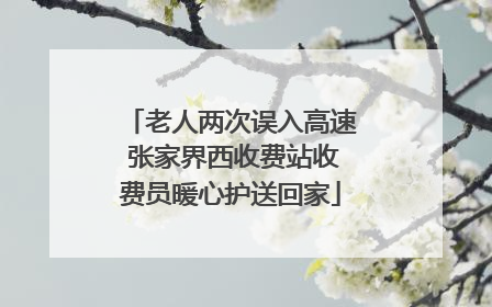老人两次误入高速 张家界西收费站收费员暖心护送回家