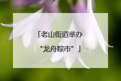 老山街道举办“龙舟粽市”