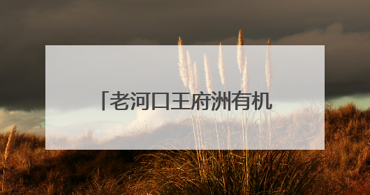 老河口王府洲有机西瓜“甜蜜”上市