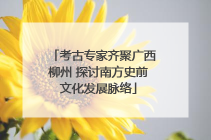 考古专家齐聚广西柳州 探讨南方史前文化发展脉络