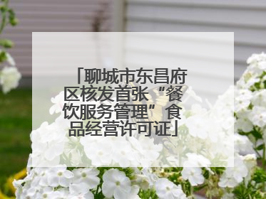 聊城市东昌府区核发首张“餐饮服务管理”食品经营许可证